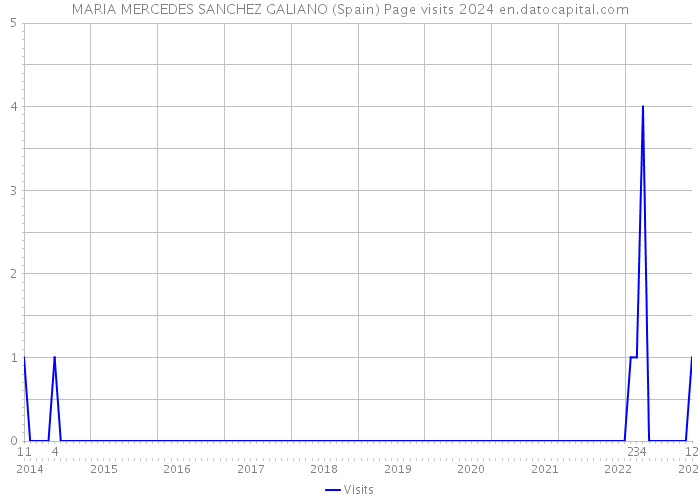 MARIA MERCEDES SANCHEZ GALIANO (Spain) Page visits 2024 