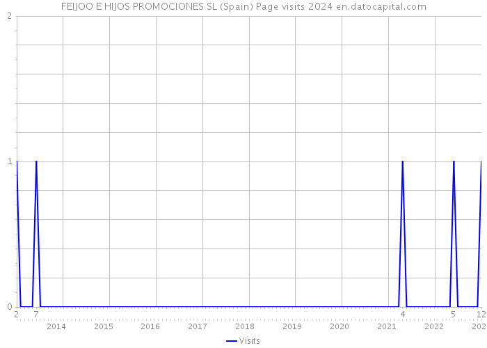FEIJOO E HIJOS PROMOCIONES SL (Spain) Page visits 2024 