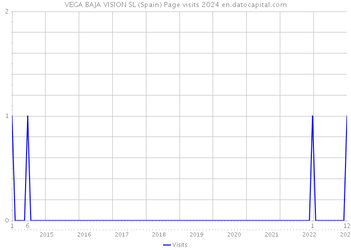 VEGA BAJA VISION SL (Spain) Page visits 2024 