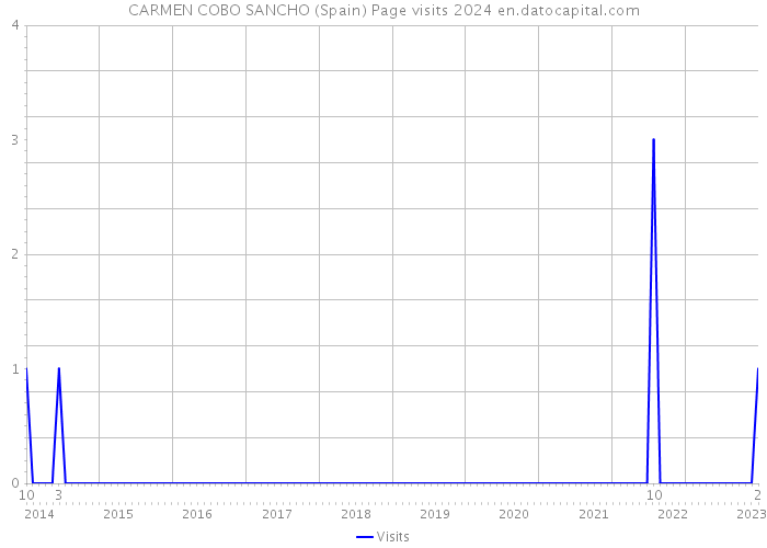 CARMEN COBO SANCHO (Spain) Page visits 2024 