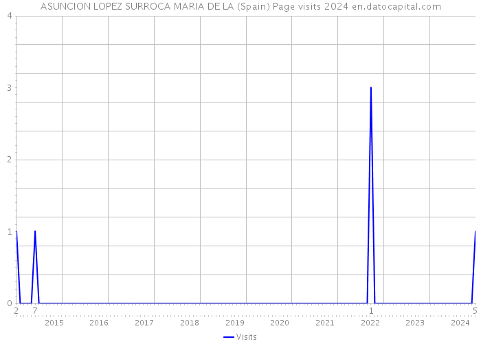 ASUNCION LOPEZ SURROCA MARIA DE LA (Spain) Page visits 2024 