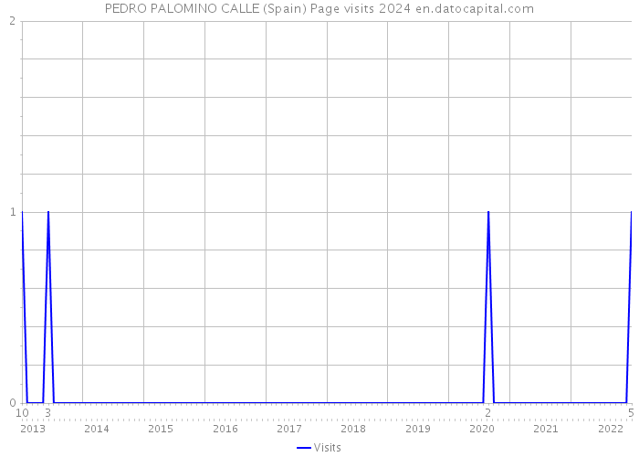 PEDRO PALOMINO CALLE (Spain) Page visits 2024 