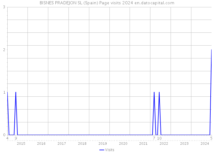 BISNES PRADEJON SL (Spain) Page visits 2024 