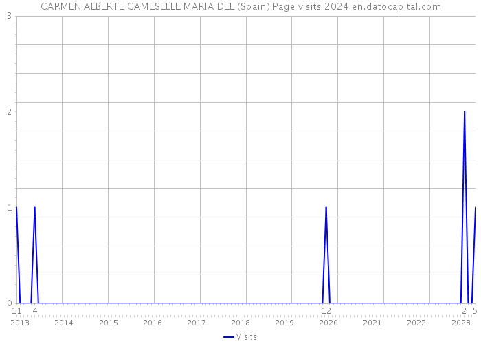 CARMEN ALBERTE CAMESELLE MARIA DEL (Spain) Page visits 2024 