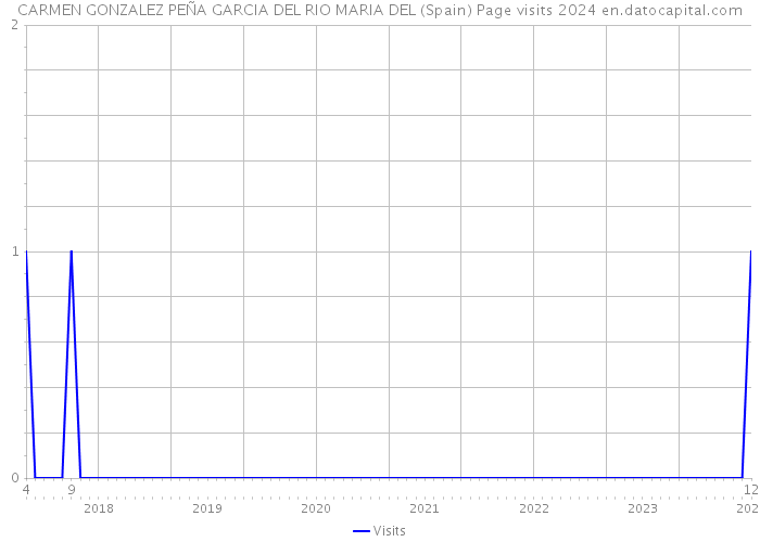 CARMEN GONZALEZ PEÑA GARCIA DEL RIO MARIA DEL (Spain) Page visits 2024 