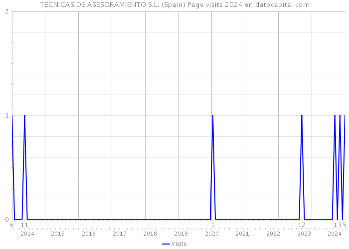 TECNICAS DE ASESORAMIENTO S.L. (Spain) Page visits 2024 