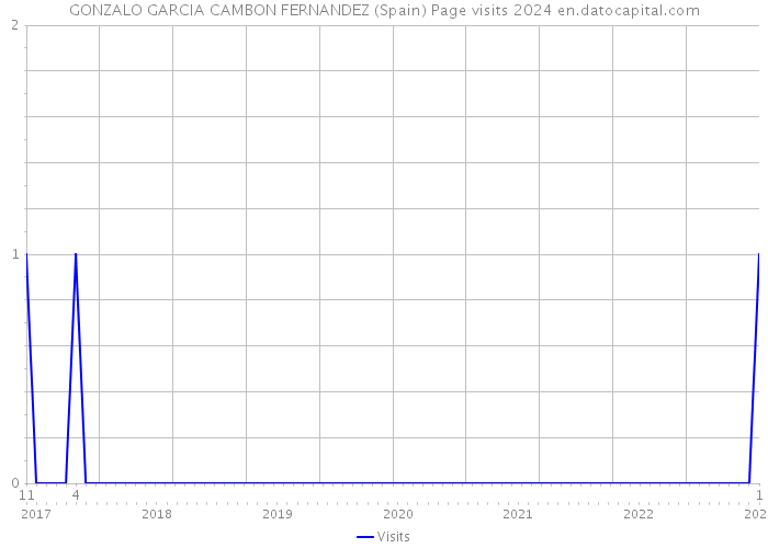 GONZALO GARCIA CAMBON FERNANDEZ (Spain) Page visits 2024 