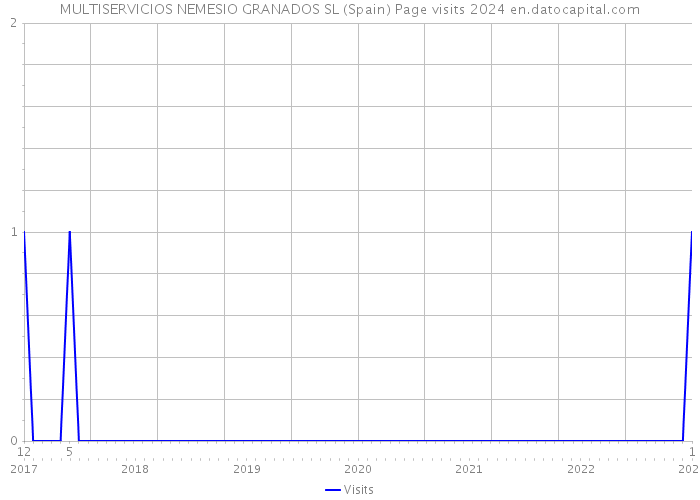 MULTISERVICIOS NEMESIO GRANADOS SL (Spain) Page visits 2024 