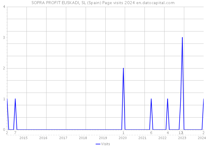 SOPRA PROFIT EUSKADI, SL (Spain) Page visits 2024 
