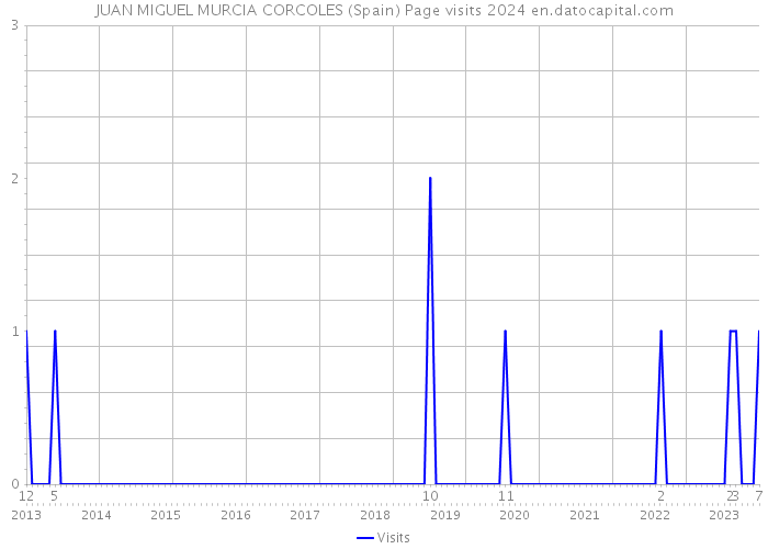 JUAN MIGUEL MURCIA CORCOLES (Spain) Page visits 2024 