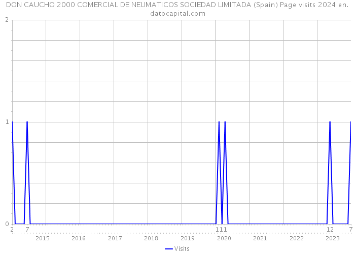 DON CAUCHO 2000 COMERCIAL DE NEUMATICOS SOCIEDAD LIMITADA (Spain) Page visits 2024 