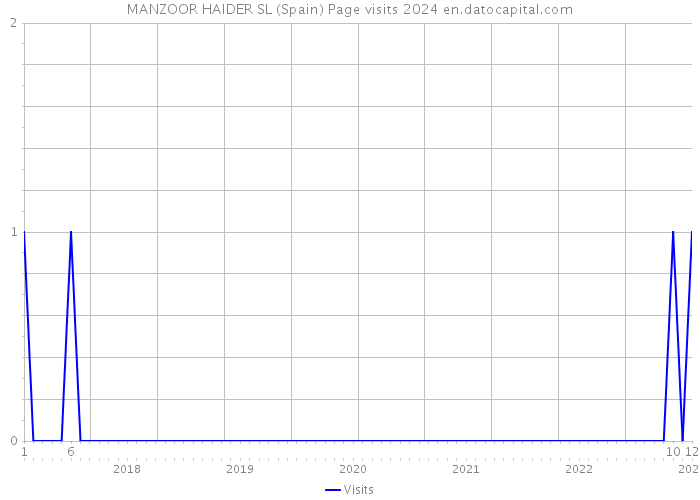 MANZOOR HAIDER SL (Spain) Page visits 2024 