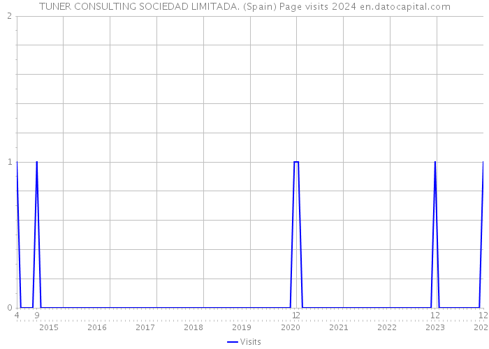 TUNER CONSULTING SOCIEDAD LIMITADA. (Spain) Page visits 2024 
