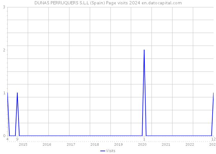 DUNAS PERRUQUERS S.L.L (Spain) Page visits 2024 