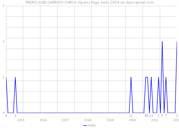 PEDRO JOSE GARRIDO CHECA (Spain) Page visits 2024 