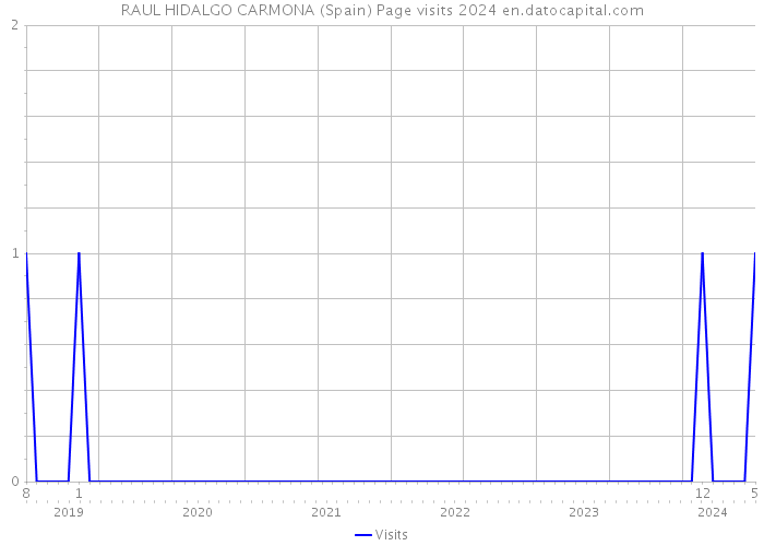 RAUL HIDALGO CARMONA (Spain) Page visits 2024 