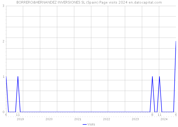 BORRERO&HERNANDEZ INVERSIONES SL (Spain) Page visits 2024 