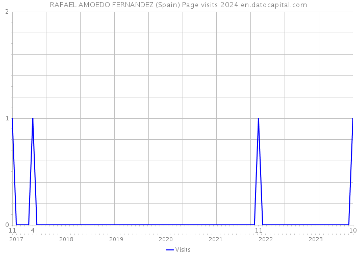 RAFAEL AMOEDO FERNANDEZ (Spain) Page visits 2024 