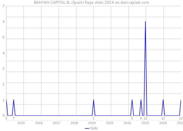 BANYAN CAPITAL SL (Spain) Page visits 2024 