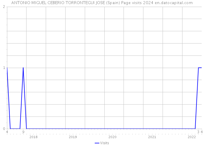 ANTONIO MIGUEL CEBERIO TORRONTEGUI JOSE (Spain) Page visits 2024 