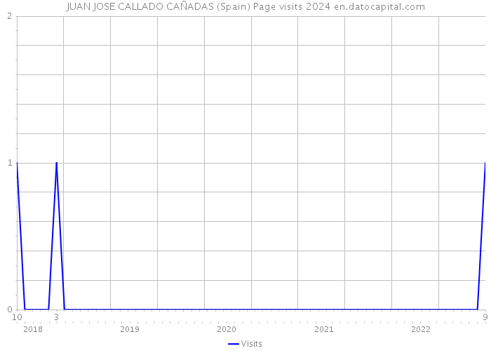 JUAN JOSE CALLADO CAÑADAS (Spain) Page visits 2024 