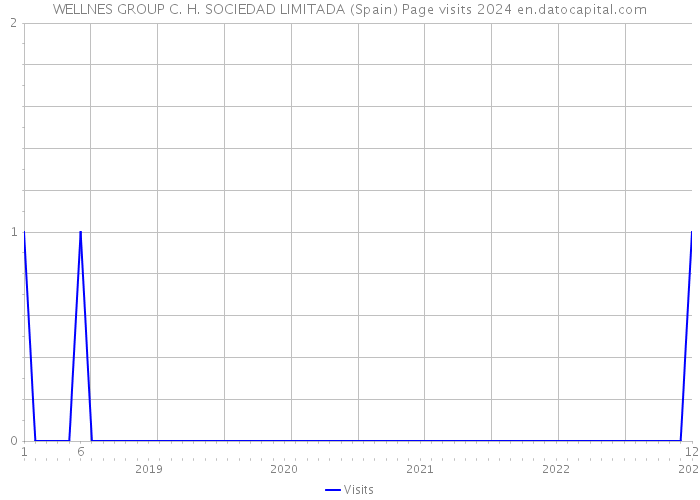 WELLNES GROUP C. H. SOCIEDAD LIMITADA (Spain) Page visits 2024 