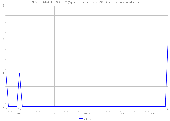 IRENE CABALLERO REY (Spain) Page visits 2024 