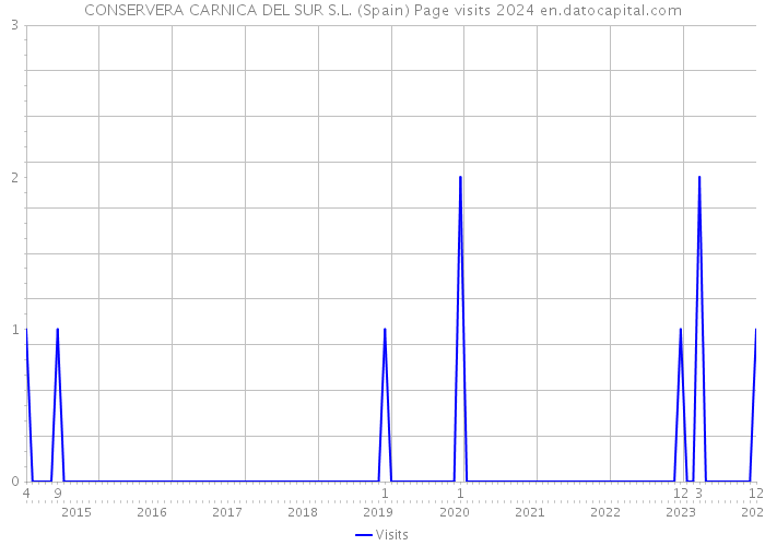 CONSERVERA CARNICA DEL SUR S.L. (Spain) Page visits 2024 