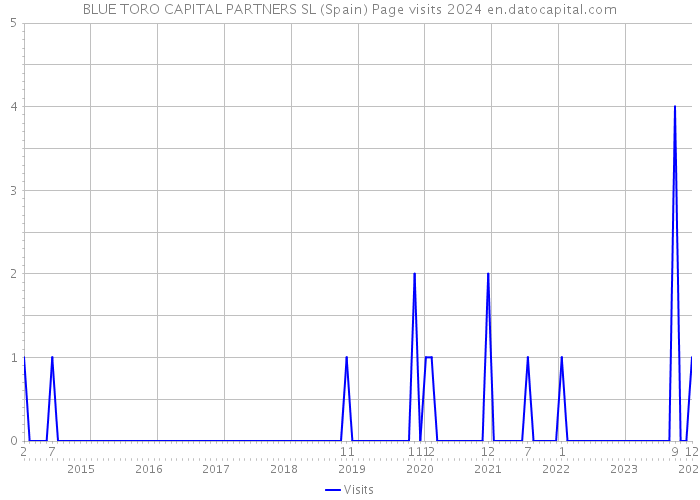 BLUE TORO CAPITAL PARTNERS SL (Spain) Page visits 2024 