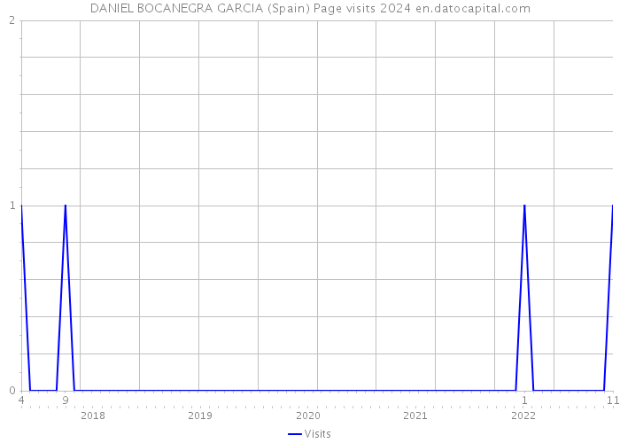 DANIEL BOCANEGRA GARCIA (Spain) Page visits 2024 