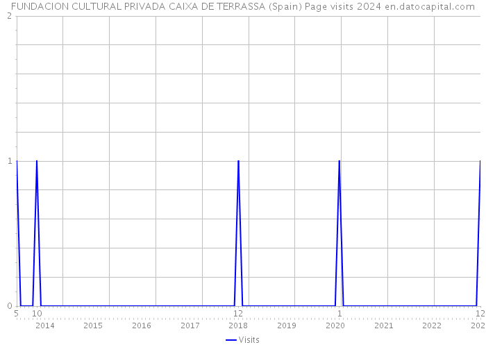 FUNDACION CULTURAL PRIVADA CAIXA DE TERRASSA (Spain) Page visits 2024 