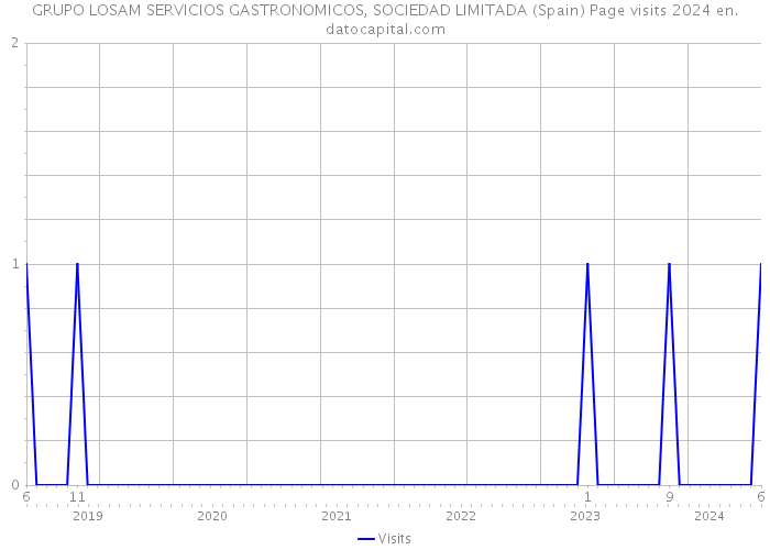 GRUPO LOSAM SERVICIOS GASTRONOMICOS, SOCIEDAD LIMITADA (Spain) Page visits 2024 
