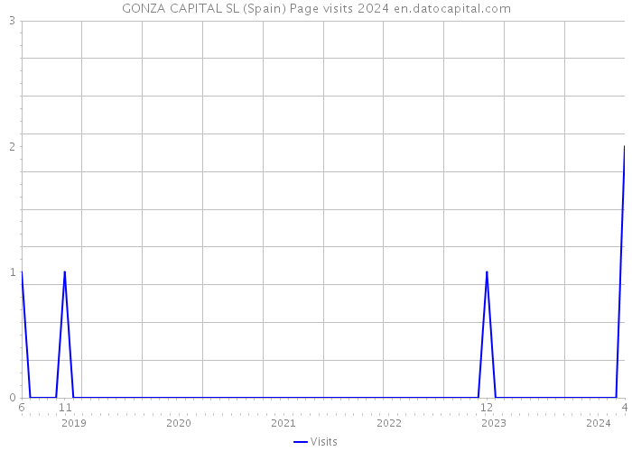 GONZA CAPITAL SL (Spain) Page visits 2024 
