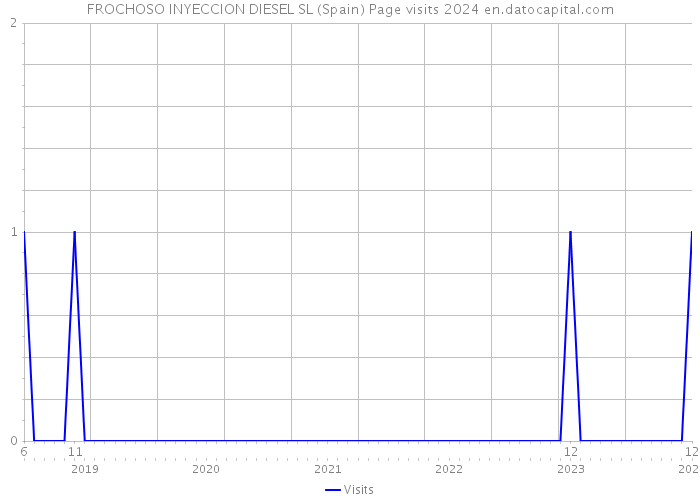 FROCHOSO INYECCION DIESEL SL (Spain) Page visits 2024 