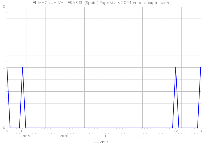 EL MAGNUM VALLEKAS SL (Spain) Page visits 2024 