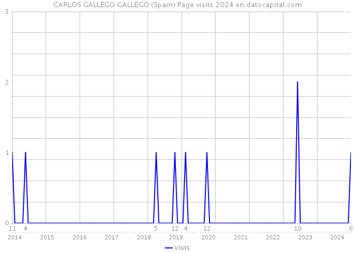 CARLOS GALLEGO GALLEGO (Spain) Page visits 2024 