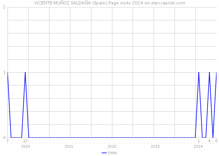 VICENTE MUÑOZ SALDAÑA (Spain) Page visits 2024 