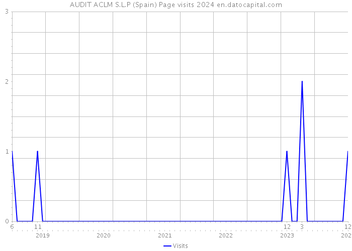 AUDIT ACLM S.L.P (Spain) Page visits 2024 