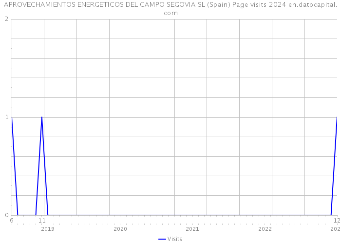 APROVECHAMIENTOS ENERGETICOS DEL CAMPO SEGOVIA SL (Spain) Page visits 2024 