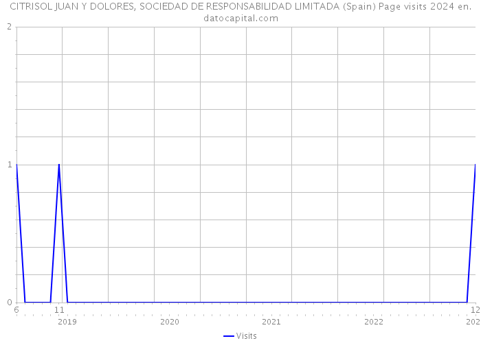 CITRISOL JUAN Y DOLORES, SOCIEDAD DE RESPONSABILIDAD LIMITADA (Spain) Page visits 2024 