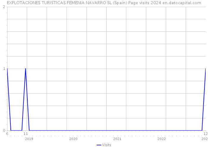 EXPLOTACIONES TURISTICAS FEMENIA NAVARRO SL (Spain) Page visits 2024 