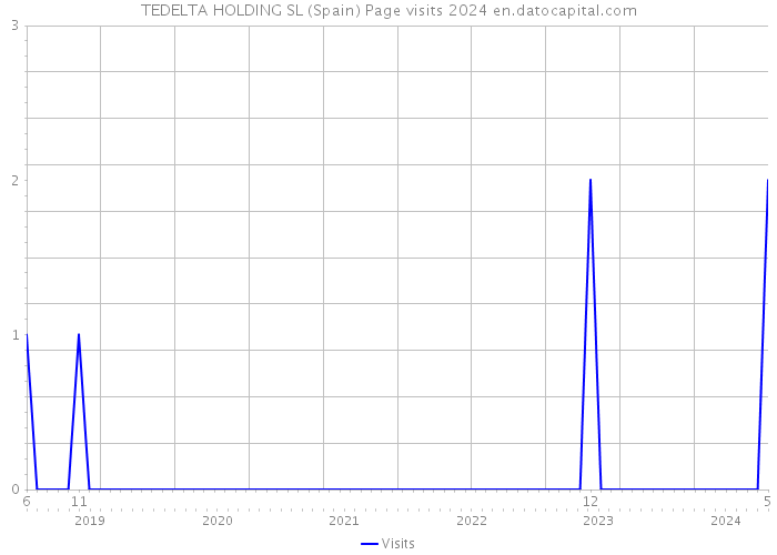 TEDELTA HOLDING SL (Spain) Page visits 2024 
