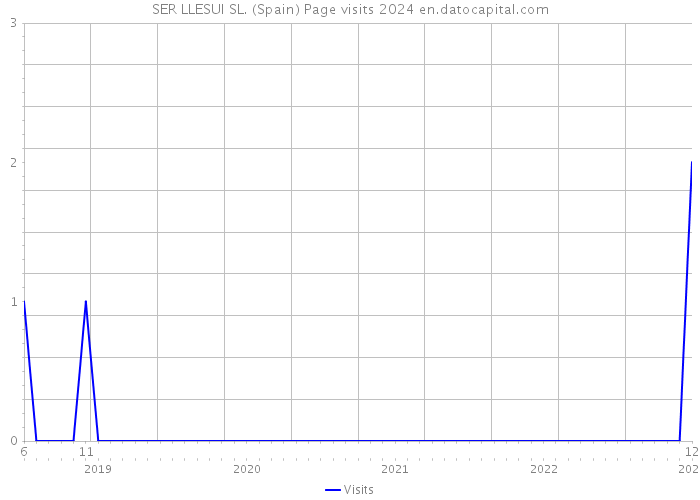 SER LLESUI SL. (Spain) Page visits 2024 