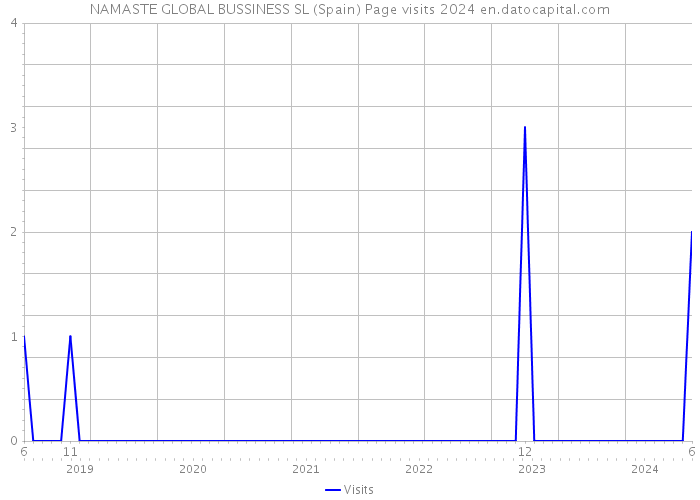 NAMASTE GLOBAL BUSSINESS SL (Spain) Page visits 2024 