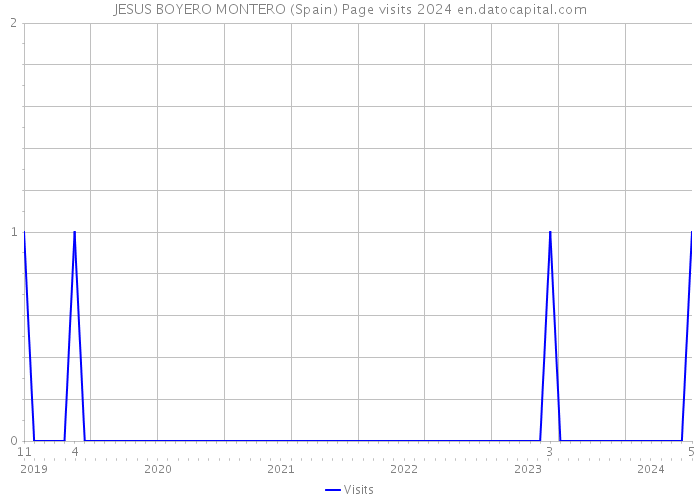 JESUS BOYERO MONTERO (Spain) Page visits 2024 