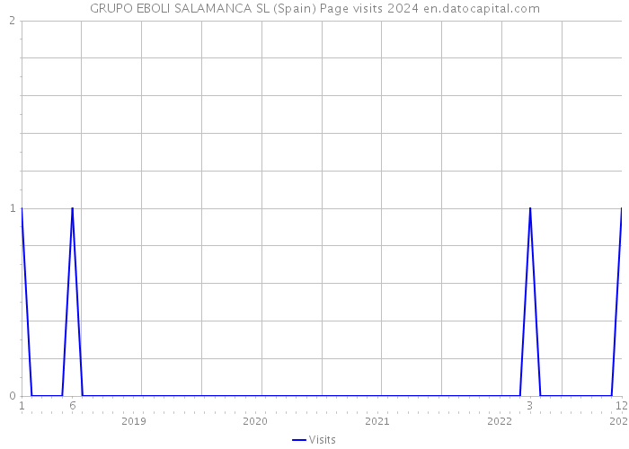 GRUPO EBOLI SALAMANCA SL (Spain) Page visits 2024 