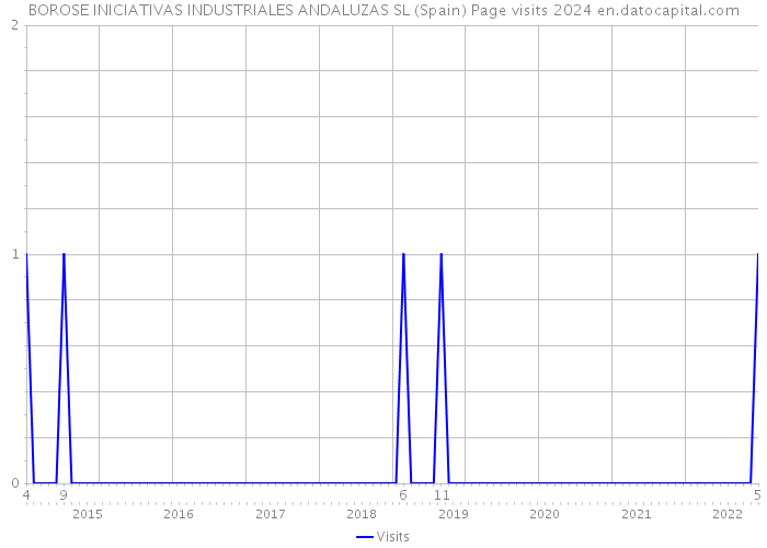 BOROSE INICIATIVAS INDUSTRIALES ANDALUZAS SL (Spain) Page visits 2024 