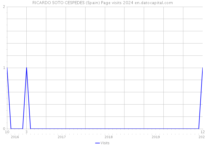 RICARDO SOTO CESPEDES (Spain) Page visits 2024 