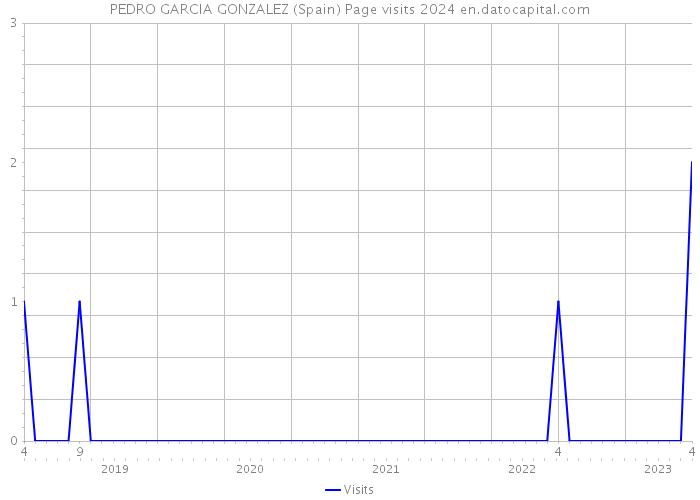 PEDRO GARCIA GONZALEZ (Spain) Page visits 2024 