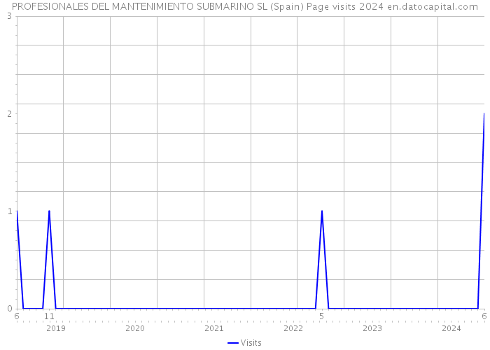 PROFESIONALES DEL MANTENIMIENTO SUBMARINO SL (Spain) Page visits 2024 